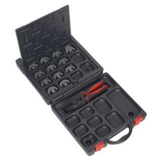 Ratchet Crimping Tool with Jaws and Storage Case