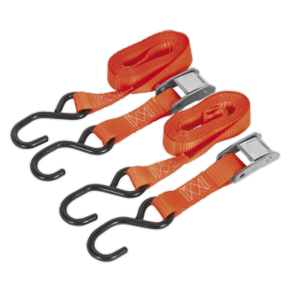 Cam Buckle Strap 25mm x 2.5m Polyester Webbing with S-Hooks 500kg Breaking Strength