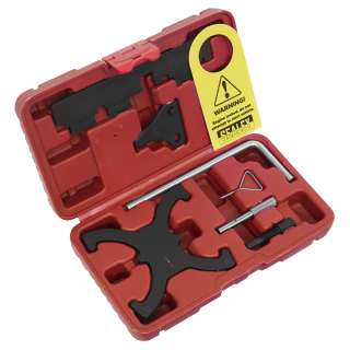 Petrol Engine Timing Tool Kit - for Ford, Volvo 1.6 EcoBoost & 2.0D/2.2D Belt Drive