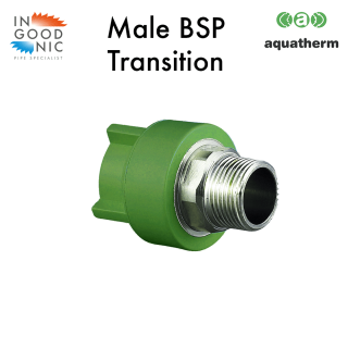 Male BSP `Hexagon' Transition