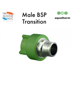 Male BSP `Hexagon' Transition
